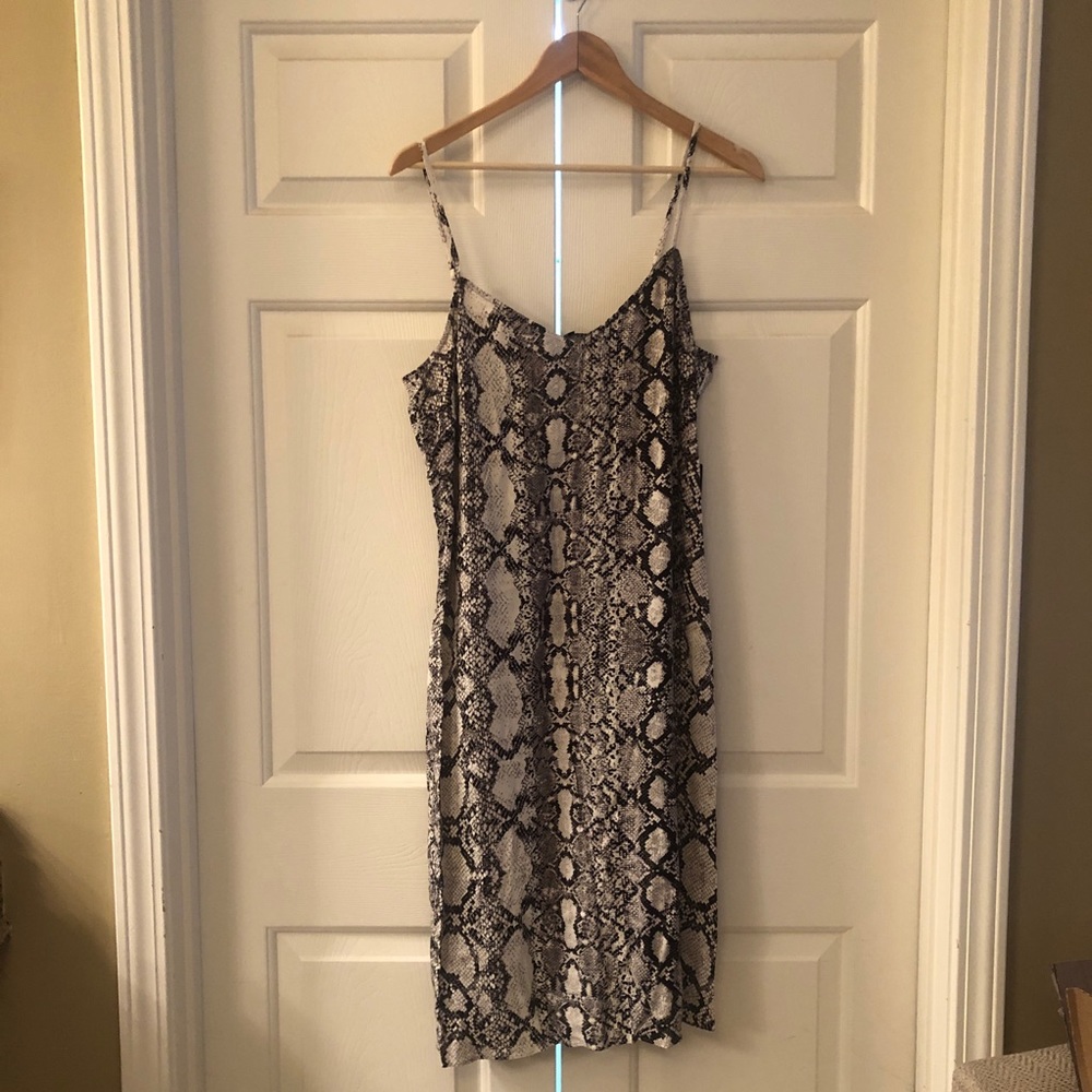 Express Snake Print Midi Dress